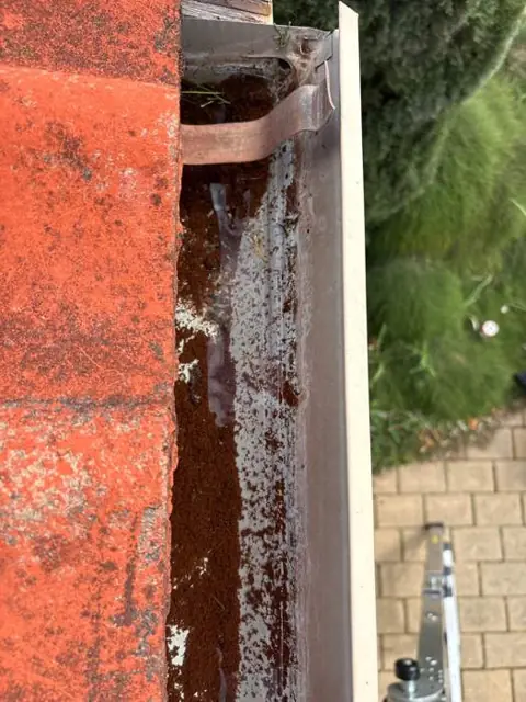 Gutter holding standing water and sediment