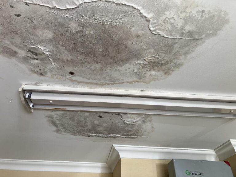 roof-leak-water-damage-perth