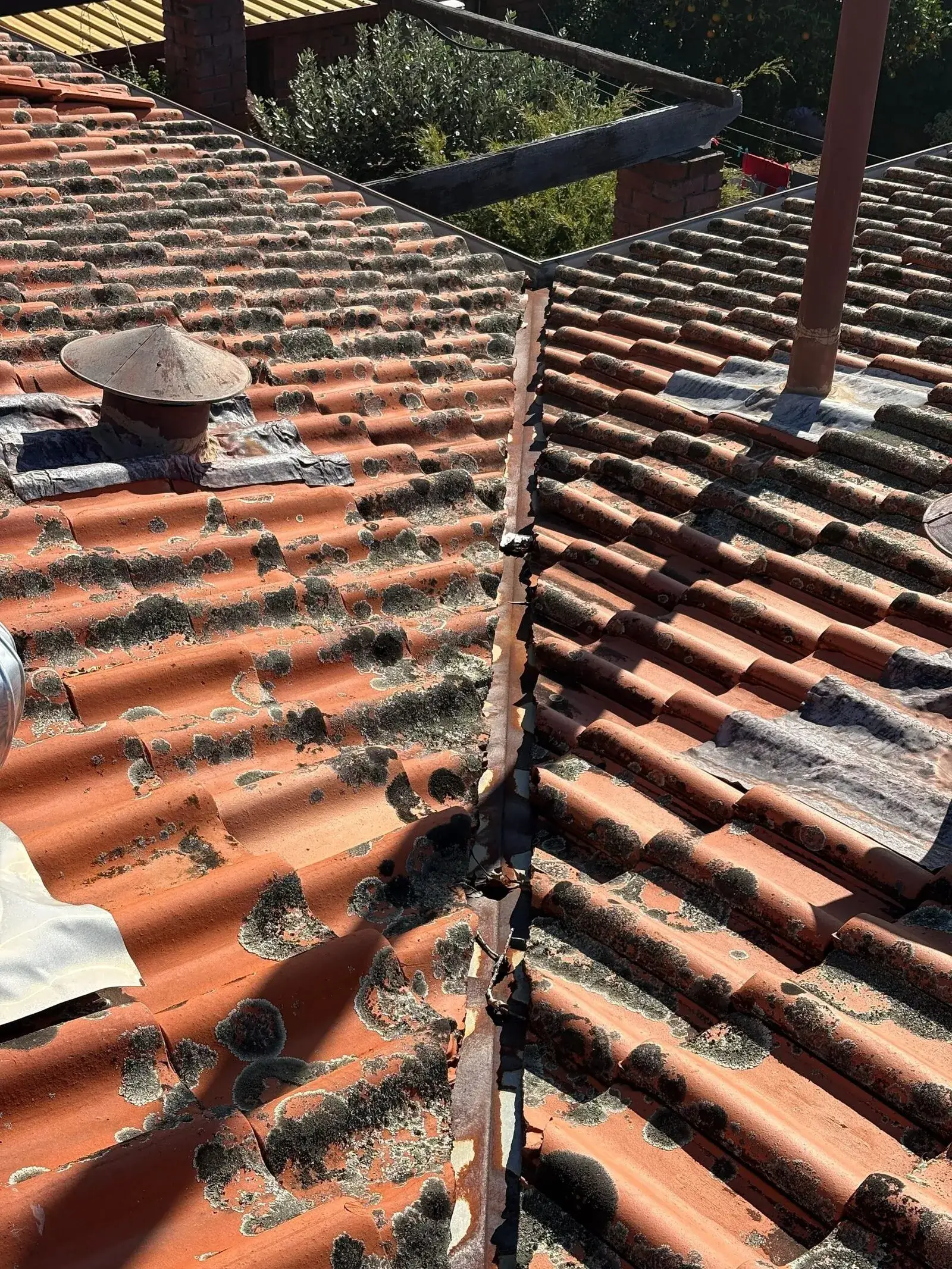 Lichen growth on terracotta roof tiles at a valley